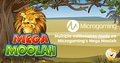 Mega Moolah Jackpots Create Millionaires