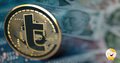 Founders Of Turcoin Flee With Millions